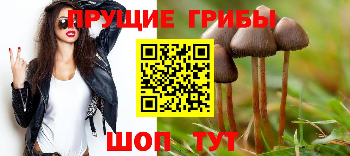 наркота  Псилоцибиновые грибы прущие грибы  Вход с VPN  Балабаново 
