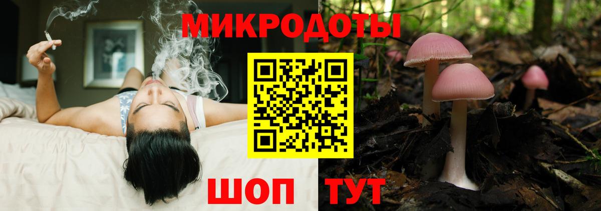 Галлюциногенные грибы Psilocybine cubensis Балабаново